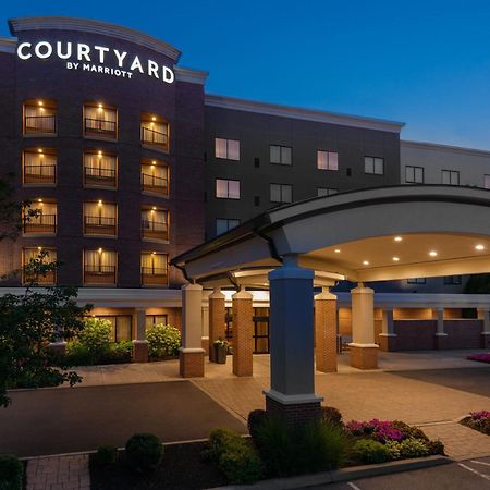צ'יקטווואגה Courtyard By Marriott Buffalo Airport מראה חיצוני תמונה